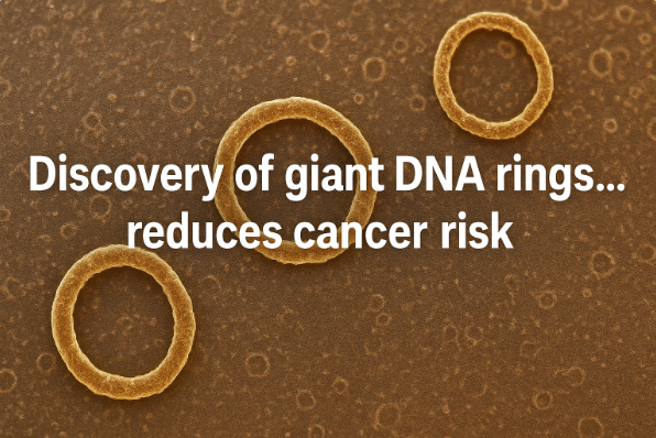 Discovery of Giant DNA Rings… Reduces Cancer Risk